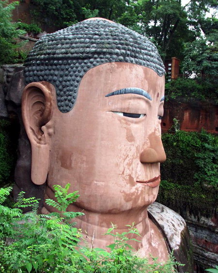 冷眼天下（颜世贵/摄）