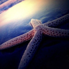 “路上行者”旅游作品欣赏