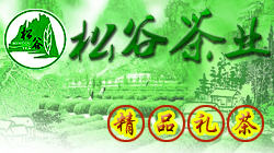 首页摄影模块 - 中间 - 250x140 - 1
