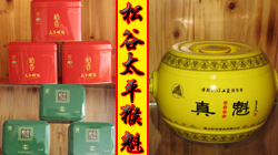 首页摄影模块 - 中间 - 250x140 - 2