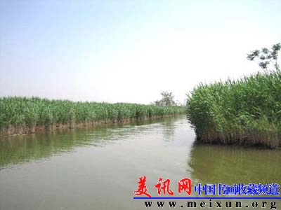 广府水城芦苇荡 .jpg