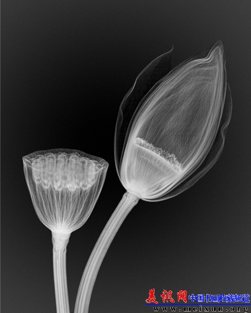 12474723_31n 副本.jpg