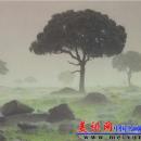 135mm山脉拍摄作品