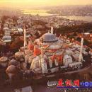 小鸟眼里的世界 是如此精彩