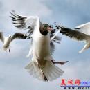 窥视另一种美丽