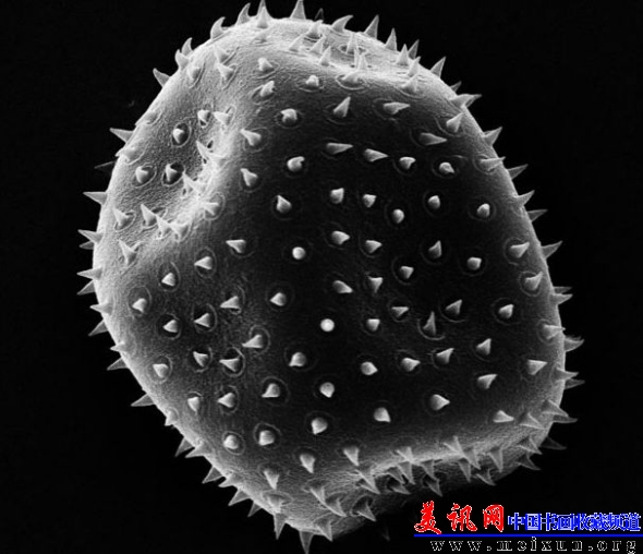 “太空入侵者”