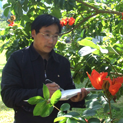 道金平艺术简介