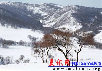 雪花赞.jpg