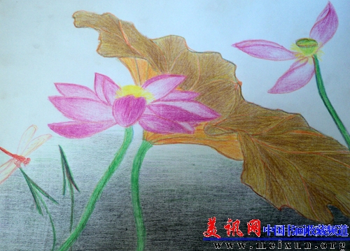 敖汉莲 2008年 速写纸 彩铅画.jpg