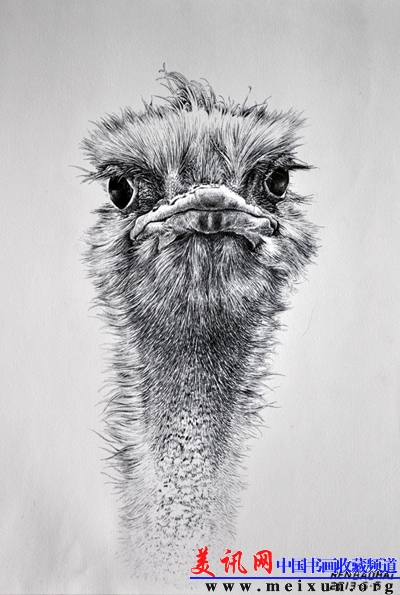 《鸵鸟》（任保海画）.jpg
