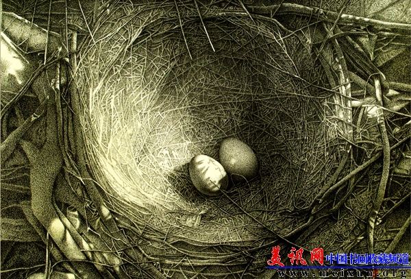 《巢》 纸上钢笔 79CM X 55CM 2009.jpg