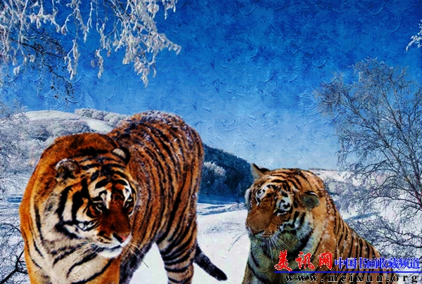 雪原  布面油画  原画尺寸约60X80厘米  创作于2013年.jpg