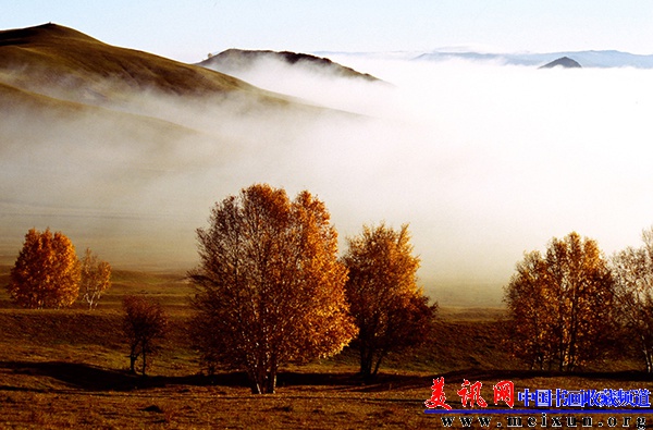 《坝上秋雾》白桦摄影.jpg