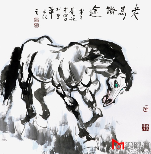 老马识途 68x68cm.jpg