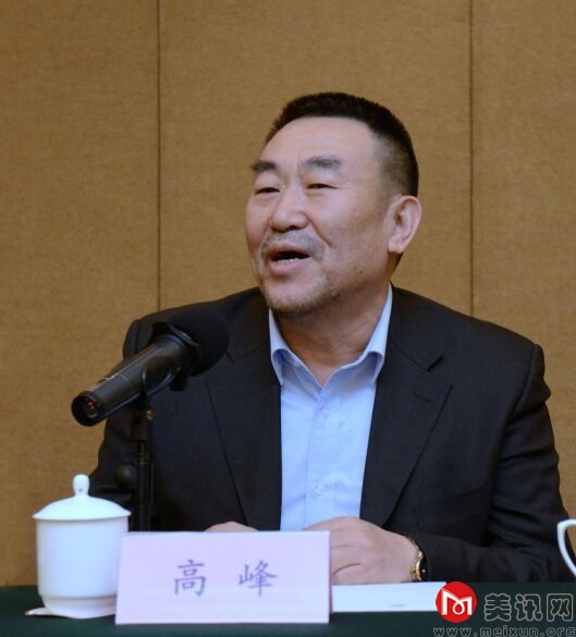 中央电视台副台长、中国纪录片工作委员会会长高峰发言.jpg